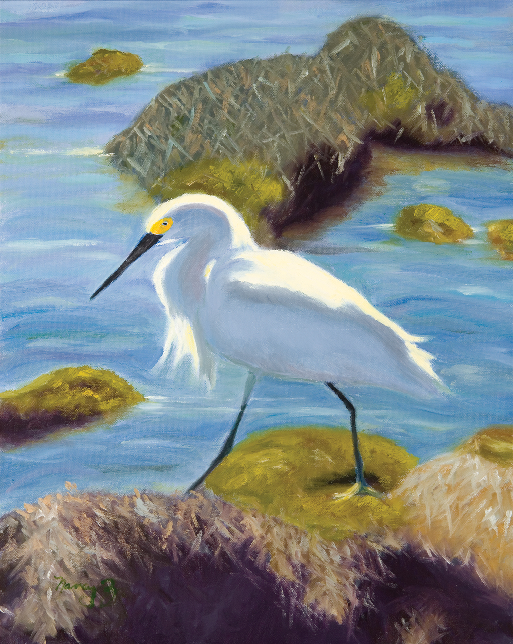 Snowy Egret by Nancy Ziegler